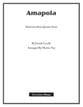 Amapola P.O.D. cover